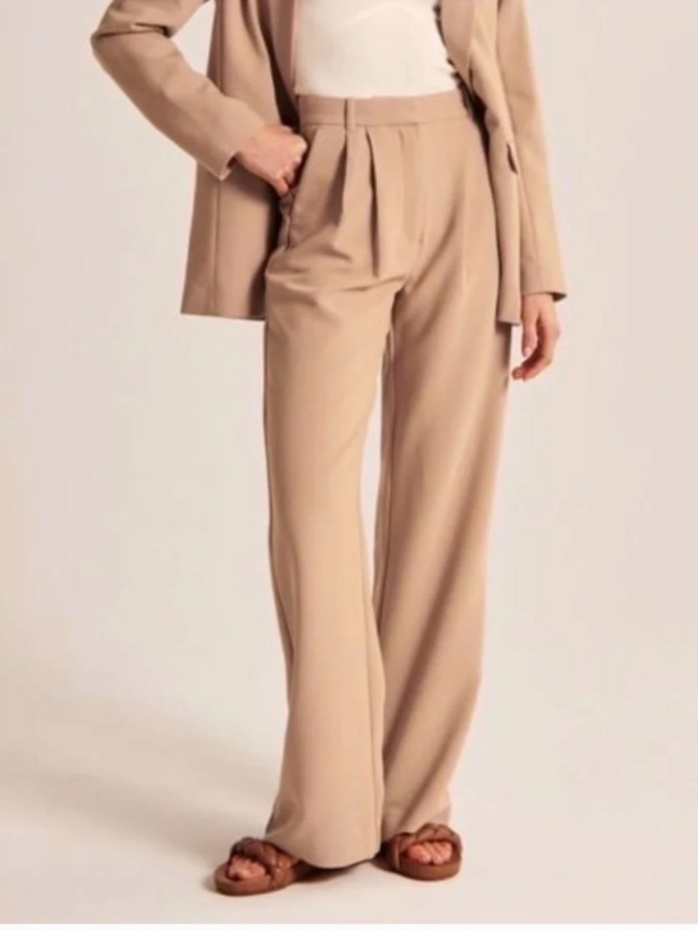 Abercrombie & Fitch Sloane Pleated & Tailored Pants